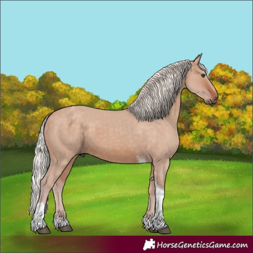 Horse Color:Silver Brown Dun Tobiano 