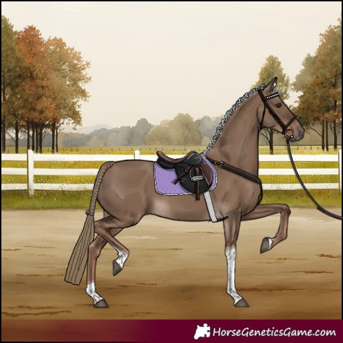 Horse Color:Liver Red Dun Tobiano 