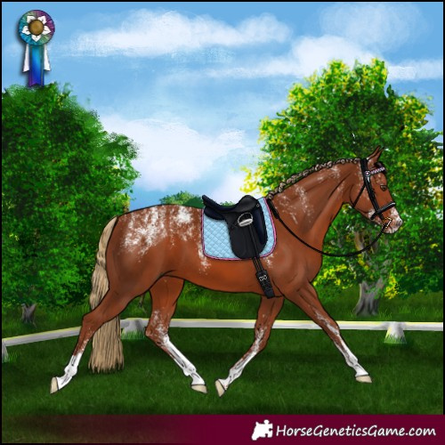 Horse Color:Powder White Chestnut 