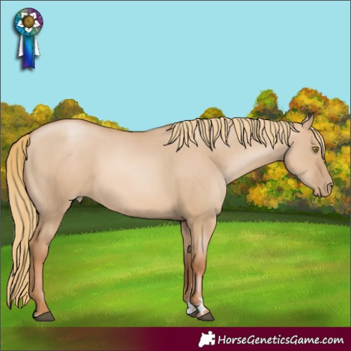 Horse Color:Red Dun Pearl