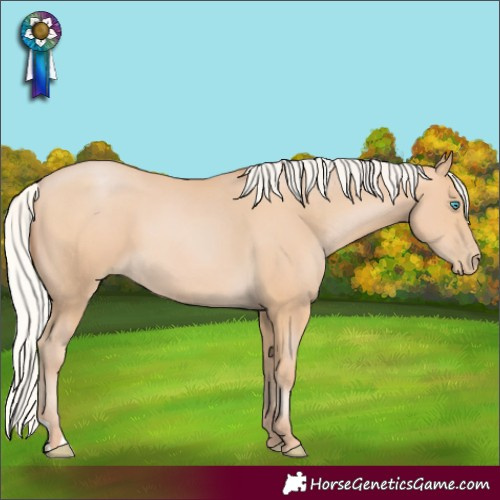 Horse Color:Silver Buckskin Pearl