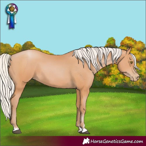 Horse Color:Silver Bay Pearl