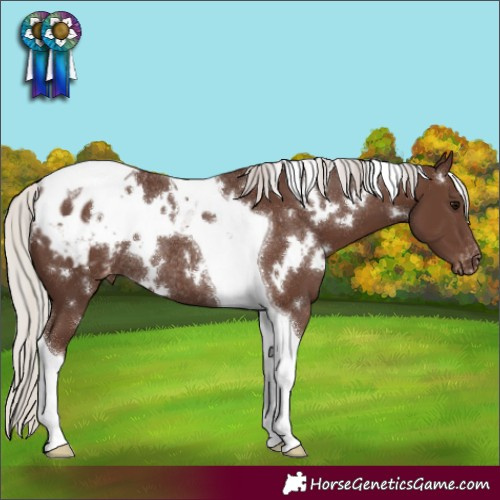 Horse Color:White Spotted Silver Black Tobiano Blanket Rabicano