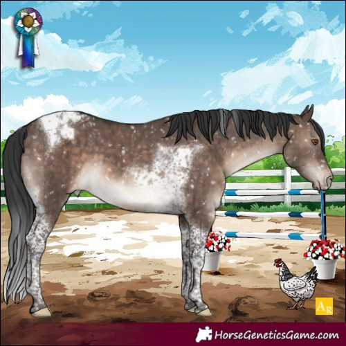 Horse Color:Brown Dun Mushroom Tobiano Appaloosa Brindle 