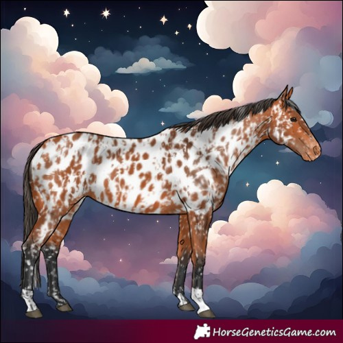Horse Color:Bay Near Leopard  and Bay Near Leopard 