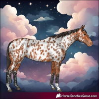 Horse Color:Bay Near Leopard and Bay Near Leopard