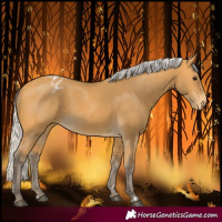 Horse Color:Silver Buckskin Blanket 