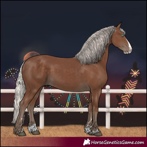 Horse Color:Silver Black Splash 