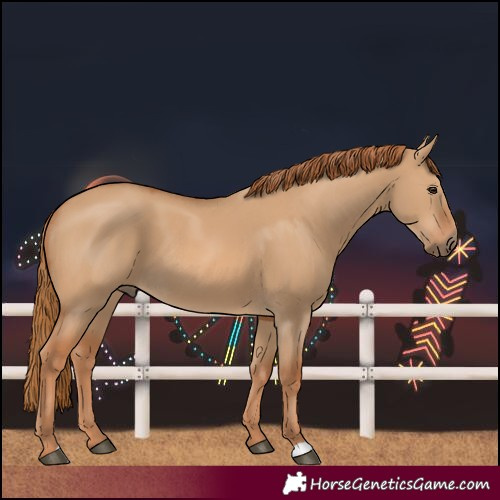 Horse Color:Red Dun 