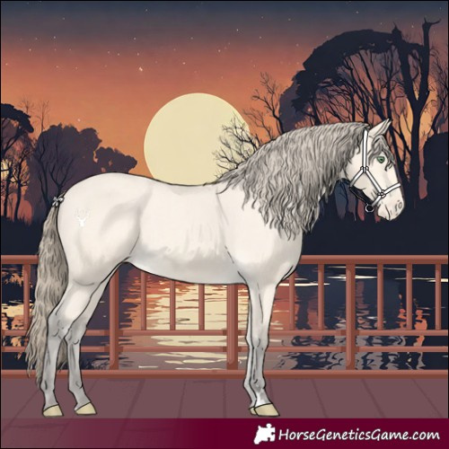 Horse Color:Amber Cream Champagne Varnish 