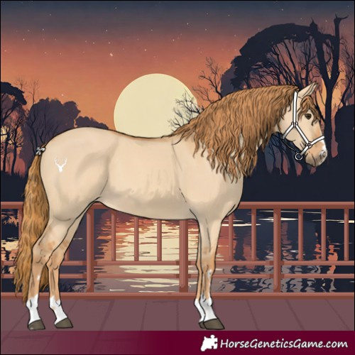 Horse Color:Red Dun 