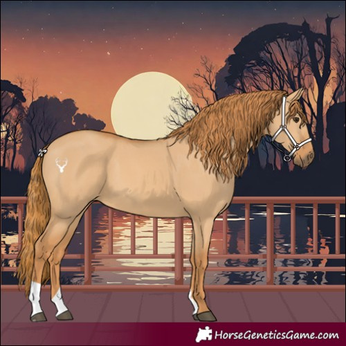 Horse Color:Red Dun 