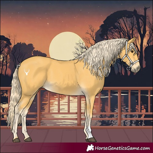 Horse Color:Palomino 
