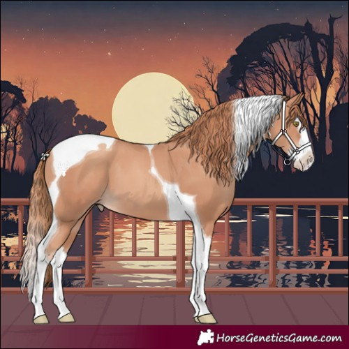 Horse Color:Gold Champagne Splash Tobiano 