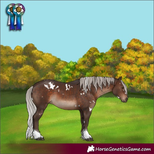 Horse Color:White Spotted Silver Brown Tobiano