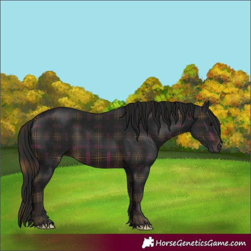 Horse Color:Gray Plaid Brown