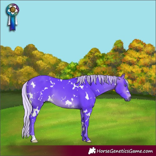 Horse Color:Watercolor White Spotted Silver Brown Chinchilla