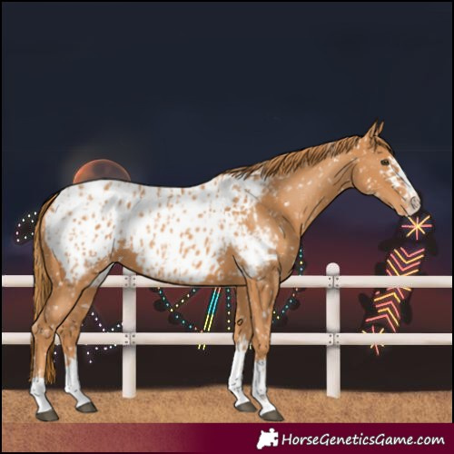 Horse Color:Chestnut Blanket  and Chestnut Blanket 