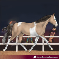 Horse Color:Amber Champagne Splash Tobiano