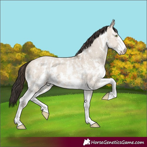 Horse Color:Sable Champagne Dun Sabino 