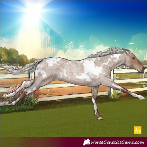 Horse Color:White Spotted Liver Red Dun Roan Mushroom