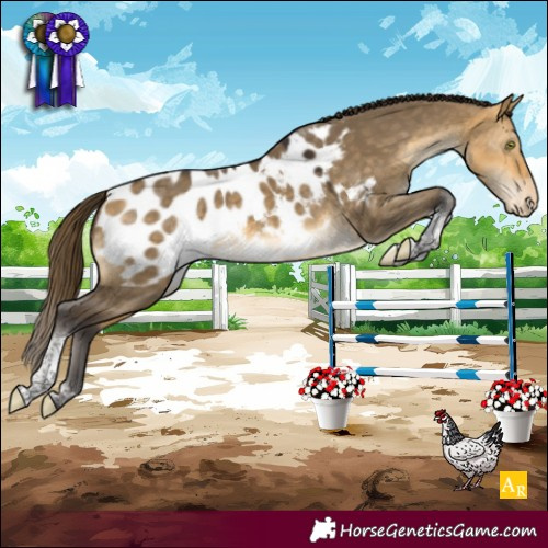 Horse Color:Buckskin Dun Mushroom Tobiano Appaloosa 
