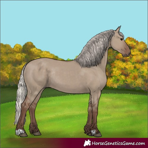 Horse Color:Unknown 