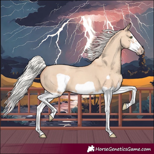 Horse Color:Silver Classic Champagne Dun Splash Frame