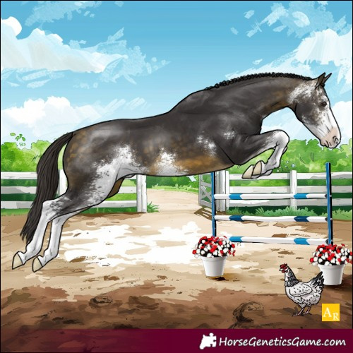 Horse Color:Buckskin Sabino