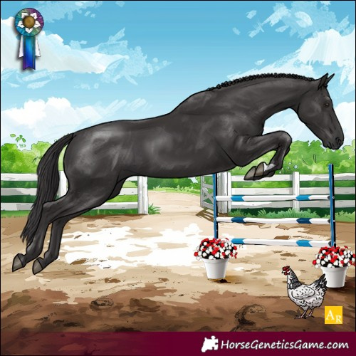 Horse Color:Smoky Black
