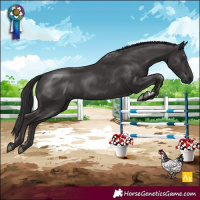 Horse Color:Smoky Black 