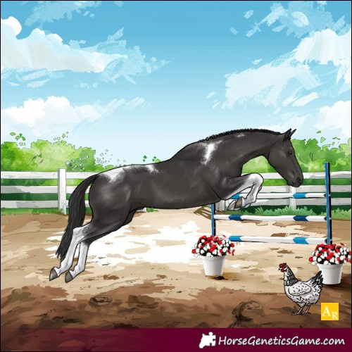 Horse Color:Smoky Black Tobiano