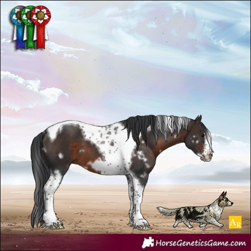 Horse Color:White Spotted Brown Tobiano Frame