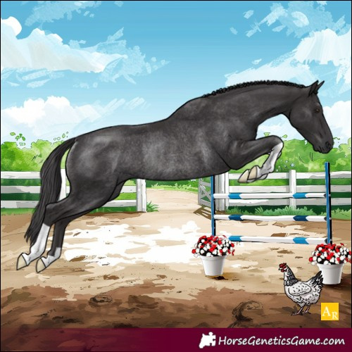 Horse Color:Smoky Black Rabicano 