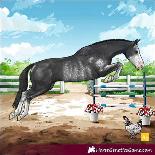 Horse Color:Black Sabino Rabicano