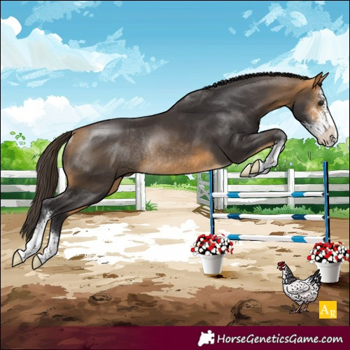 Horse Color:Buckskin Sabino Rabicano 