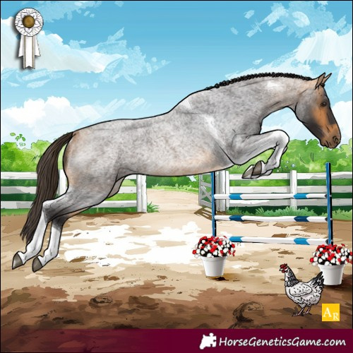 Horse Color:Buckskin Roan Tobiano Rabicano 