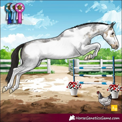 Horse Color:White Spotted Buckskin Roan Frame 