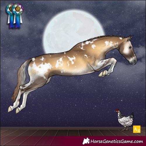 Horse Color:Gray White Spotted Red Dun Onyx 