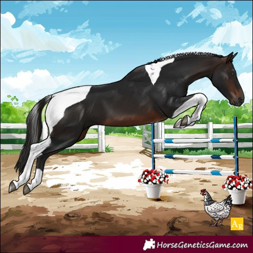 Horse Color:Gray Bay Tobiano 
