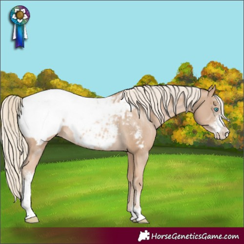 Horse Color:Chocolate Palomino Pearl Sabino Snowcap Rabicano 