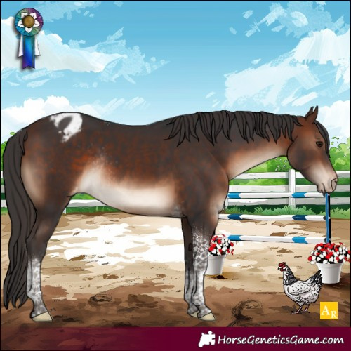 Horse Color:Brown Tobiano Blanket Rabicano