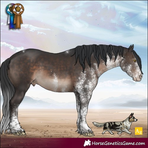 Horse Color:White Spotted Brown Tobiano Appaloosa