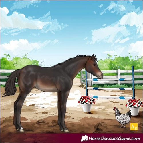 Horse Color:Brown 