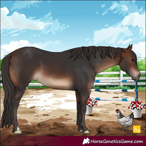 Horse Color:Brown 