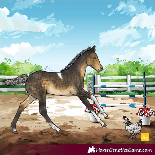 Horse Color:Silver Buckskin Tobiano 
