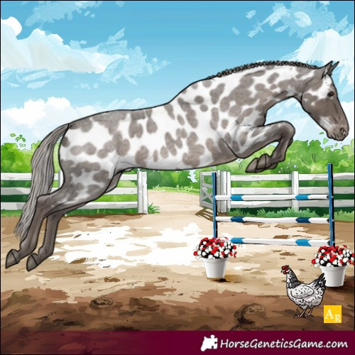 Horse Color:Silver Blue Roan Near Leopard