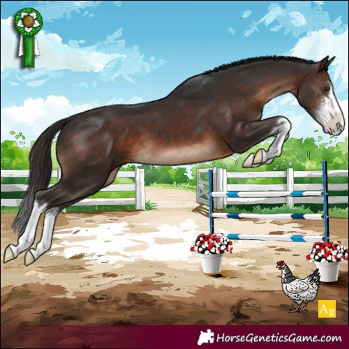 Horse Color:White Spotted Brown 