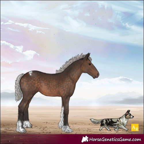 Horse Color:Silver Brown Tobiano