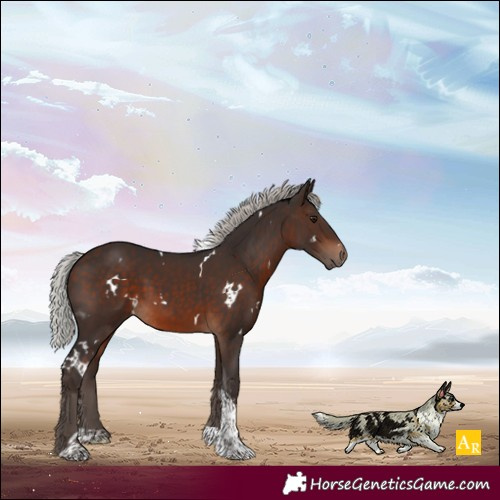 Horse Color:White Spotted Silver Brown Tobiano 